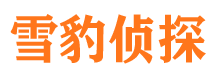 闻喜市侦探调查公司